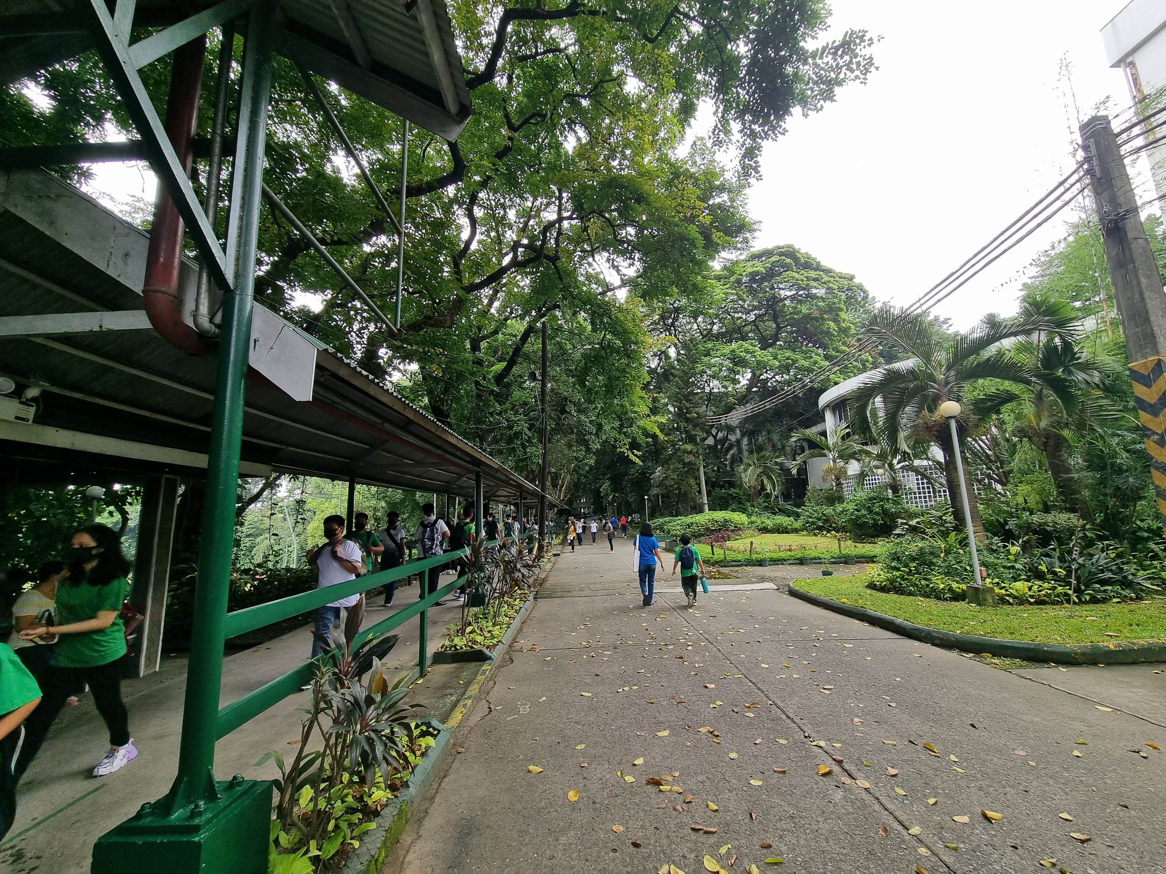 DLSAU_LLC (德拉薩大學Araneta校區附設語言學校) 預覽圖 1